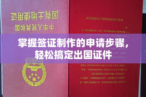 柳江掌握签证制作的申请步骤，轻松搞定出国证件